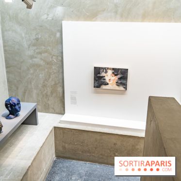 Exposition Philippe Cognée au Musée Bourdelle - La peinture d'après