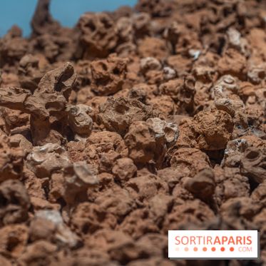 Exposition Philippe Cognée au Musée Bourdelle - La peinture d'après -  A7C5369