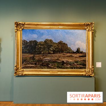 Petit Palais - Collection permanente  -  A7C5877 2