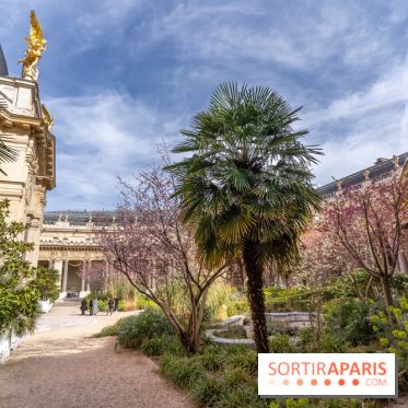 Petit Palais - Collection permanente  -  jardin