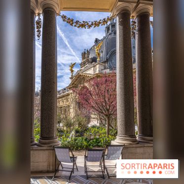 Petit Palais - Collection permanente  -  jardin