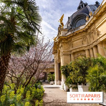 Petit Palais - Collection permanente  -  jardin