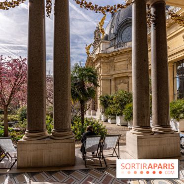 Petit Palais - Collection permanente  -  jardin