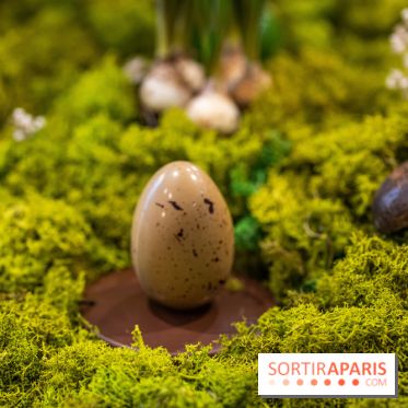 Chocolats et oeufs de Pâques d'Edwart Chocolatier 2023 -  A7C3179