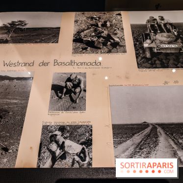 Exposition Les soldats du désert : le musée de la Libération dévoile l'épopée du général Leclerc - IMG20230315102904