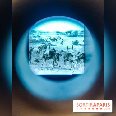 Exposition Les soldats du désert : le musée de la Libération dévoile l'épopée du général Leclerc - IMG20230315100504