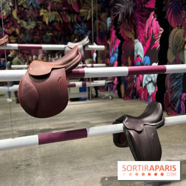 Saut Hermès - IMG 0886