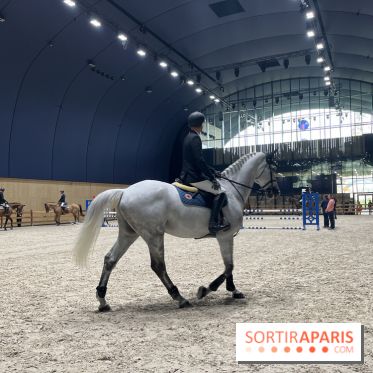 cheval - Saut Hermès - IMG 0921