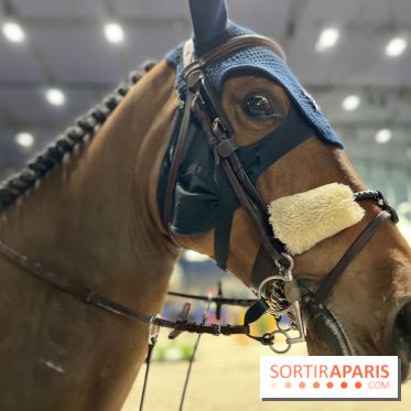 cheval - Saut Hermès - IMG 0975