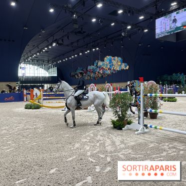 cheval - Saut Hermès - IMG 1015