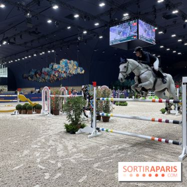 cheval - Saut Hermès - IMG 1018