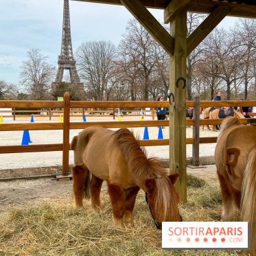 Saut Hermès - image00004