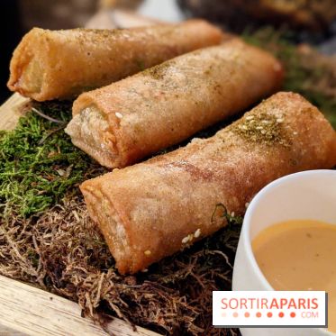 Qasti - Rouleaux halloumi