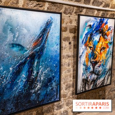 Exposition street-art Sax - Eglise de la Madeleine  -  A7C6515