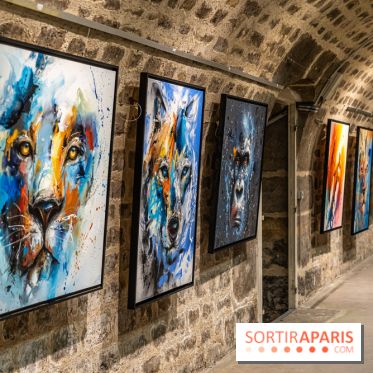 Exposition street-art Sax - Eglise de la Madeleine  -  A7C6514