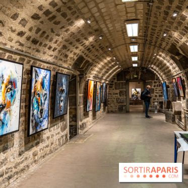 Exposition street-art Sax - Eglise de la Madeleine  -  A7C6513