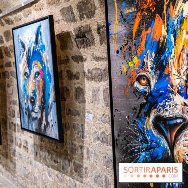 Exposition street-art Sax - Eglise de la Madeleine  -  A7C6509