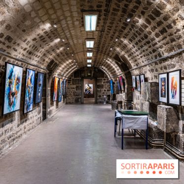 Exposition street-art Sax - Eglise de la Madeleine  -  A7C6452 HDR