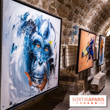 Exposition street-art Sax - Eglise de la Madeleine  -  A7C6449 HDR