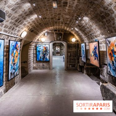 Exposition street-art Sax - Eglise de la Madeleine  -  A7C6446 HDR