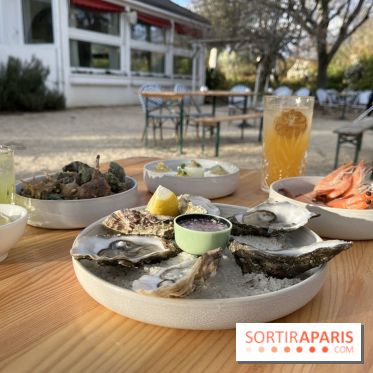 Le Chalet des Îles Daumesnil - le concept du Perchoir