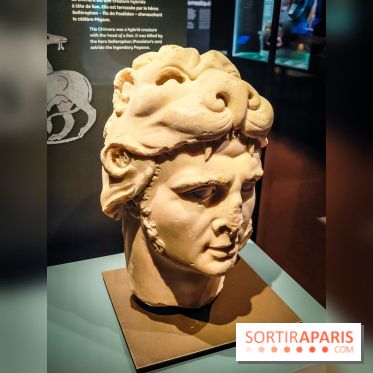 Félins, l'exposition qui nous fait craquer au Muséum national d'Histoire naturelle - photos - IMG20230321103728