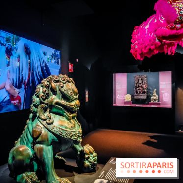 Félins, l'exposition qui nous fait craquer au Muséum national d'Histoire naturelle - photos - IMG20230321103938