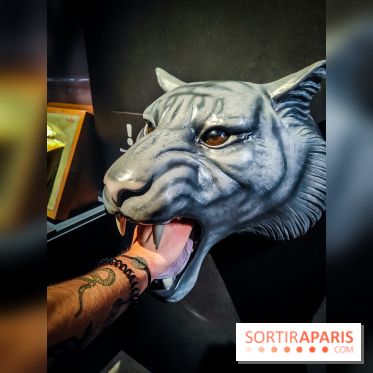 Félins, l'exposition qui nous fait craquer au Muséum national d'Histoire naturelle - photos - IMG20230321101734