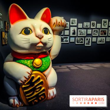 Félins, l'exposition qui nous fait craquer au Muséum national d'Histoire naturelle - photos - IMG20230321110439