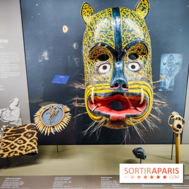 Félins, l'exposition qui nous fait craquer au Muséum national d'Histoire naturelle - photos - IMG20230321104440