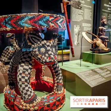 Félins, l'exposition qui nous fait craquer au Muséum national d'Histoire naturelle - photos - IMG20230321103800