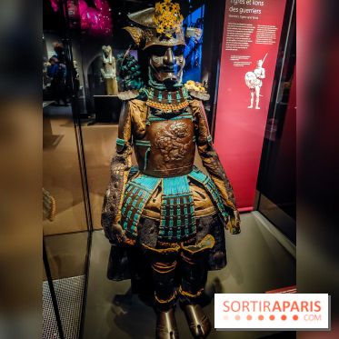 Félins, l'exposition qui nous fait craquer au Muséum national d'Histoire naturelle - photos - IMG20230321103918