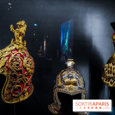 Félins, l'exposition qui nous fait craquer au Muséum national d'Histoire naturelle - photos - IMG20230321103748