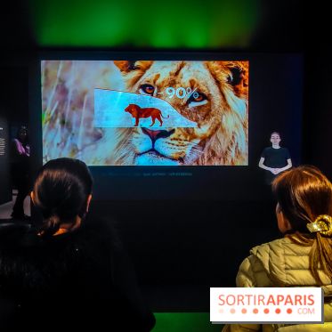 Félins, l'exposition qui nous fait craquer au Muséum national d'Histoire naturelle - photos - IMG20230321100446