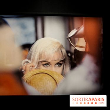 Elliott Erwitt, l'expo au Musée Maillol, nos photos - IMG 8908