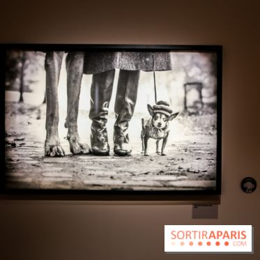 Elliott Erwitt, l'expo au Musée Maillol, nos photos - IMG 8943