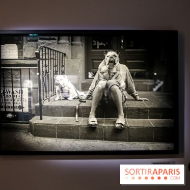 Elliott Erwitt, l'expo au Musée Maillol, nos photos - IMG 8948