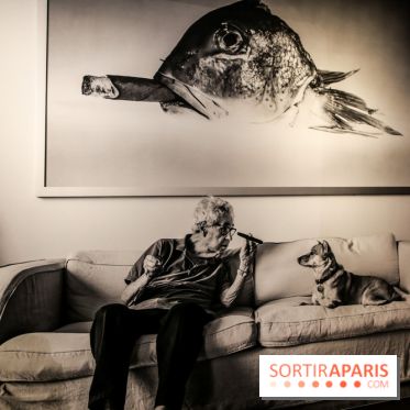 Elliott Erwitt, l'expo au Musée Maillol, nos photos - IMG 8956