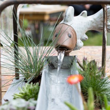 Les journées des plantes & Art  - 0S6A3297