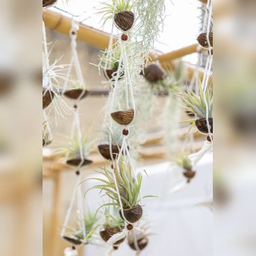 Les journées des plantes & Art  - 0S6A3398