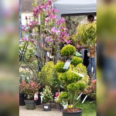 Les journées des plantes & Art  - 0S6A4145