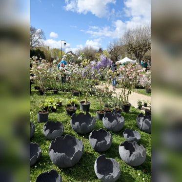 Les journées des plantes & Art  - 230401 Blandy PhotoCaroleDesheulles 192