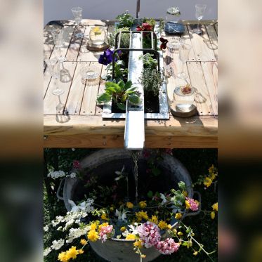 Les journées des plantes & Art du Jardin à Blandy-les-Tours - JourneePlantesBlandy 157©CDesheulles