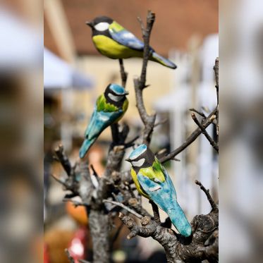 Les journées des plantes & Art du Jardin à Blandy-les-Tours - JourneePlantesBlandy 204©CDesheulles