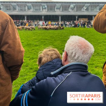 Transhumance à la Villette - C455CCC6 0ADA 4DBE 94CA DA1F5783DC69