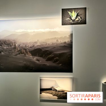 Circulation(s), le festival de la jeune photographie européenne au Centquatre - EEE2D674 7373 43B1 94CC 9B8160130950