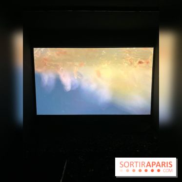 Circulation(s), le festival de la jeune photographie européenne au Centquatre - 09D6C032 A55C 45E6 82D7 5F63895997F8