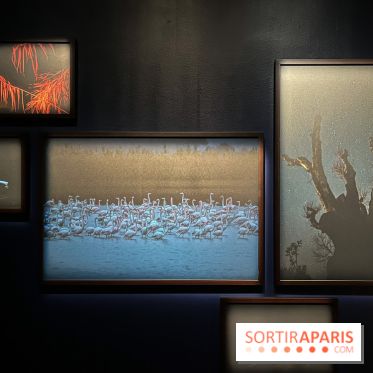 Circulation(s), le festival de la jeune photographie européenne au Centquatre - 99E98AD9 F5DE 4F1B AA07 F1FE6094D9DD