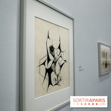 Anna-Eva Bergman, nos photos de l'expo à Paris