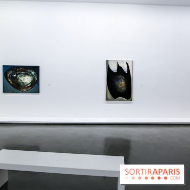 Anna-Eva Bergman, nos photos de l'expo à Paris